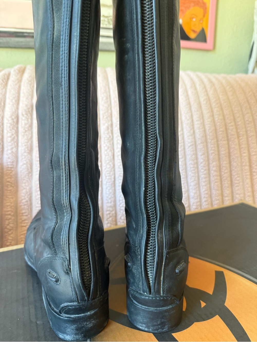 Riding boots - Picture 7 of 16